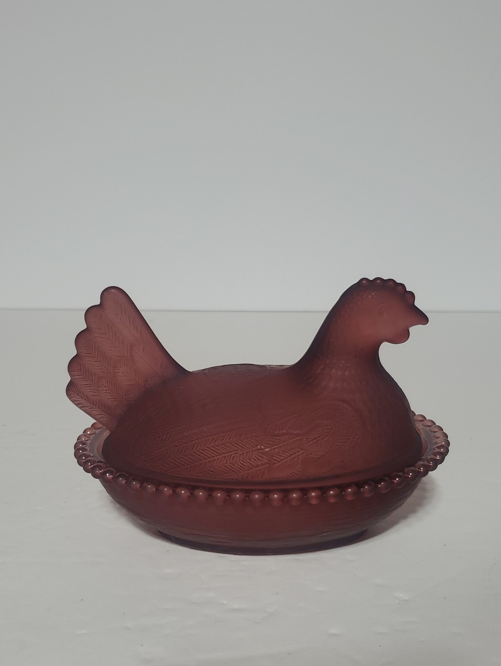 Purple Plum Hen On Nest